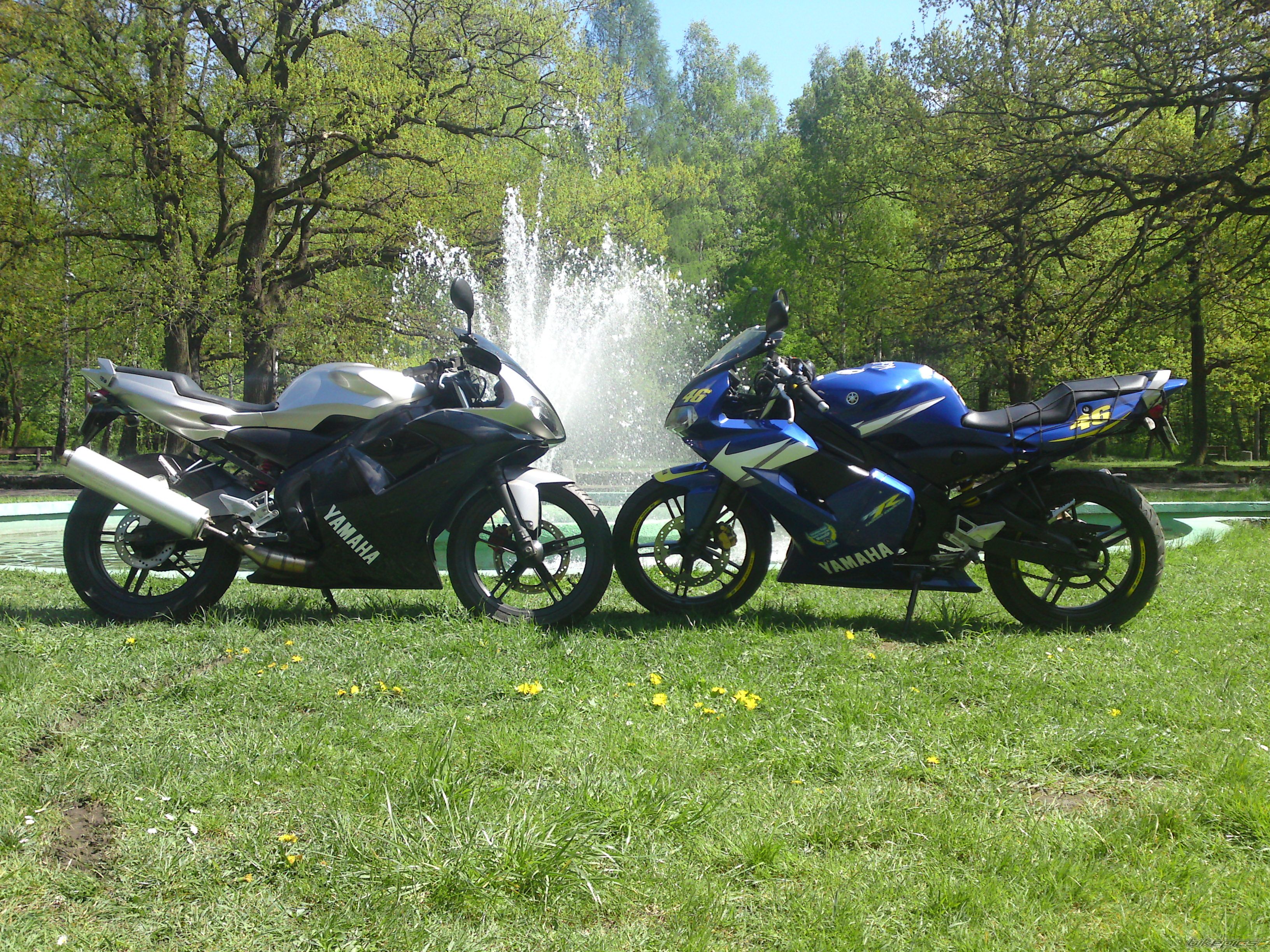 Photo 2200574