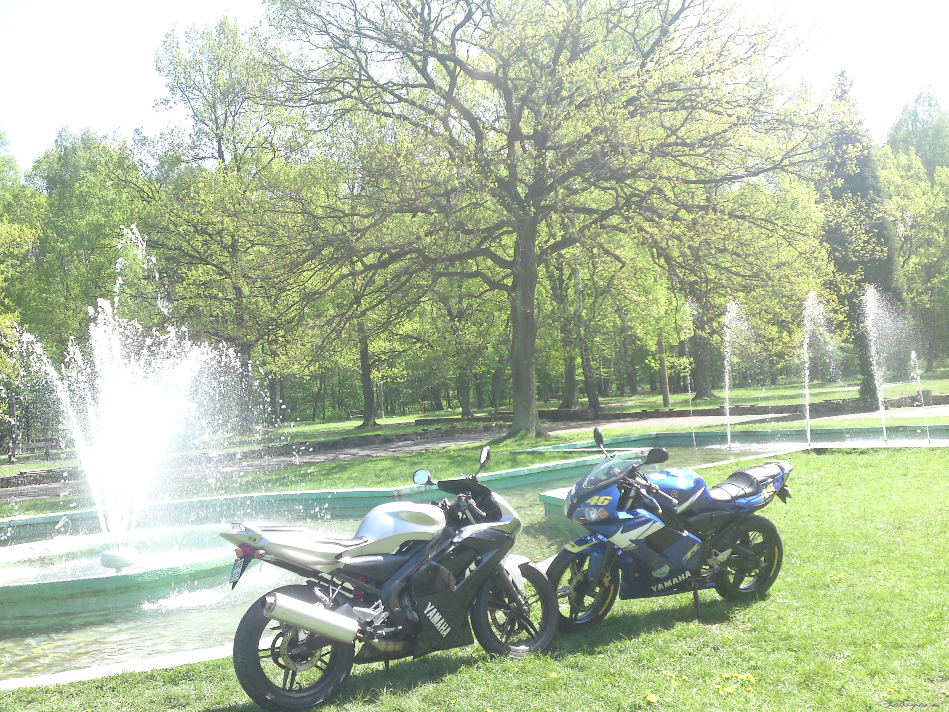 Photo 2200599