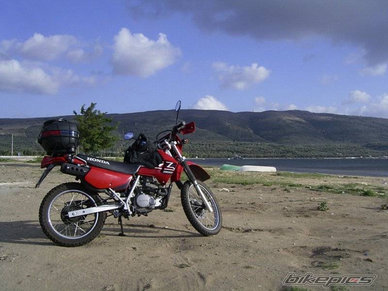 Photo 220071
