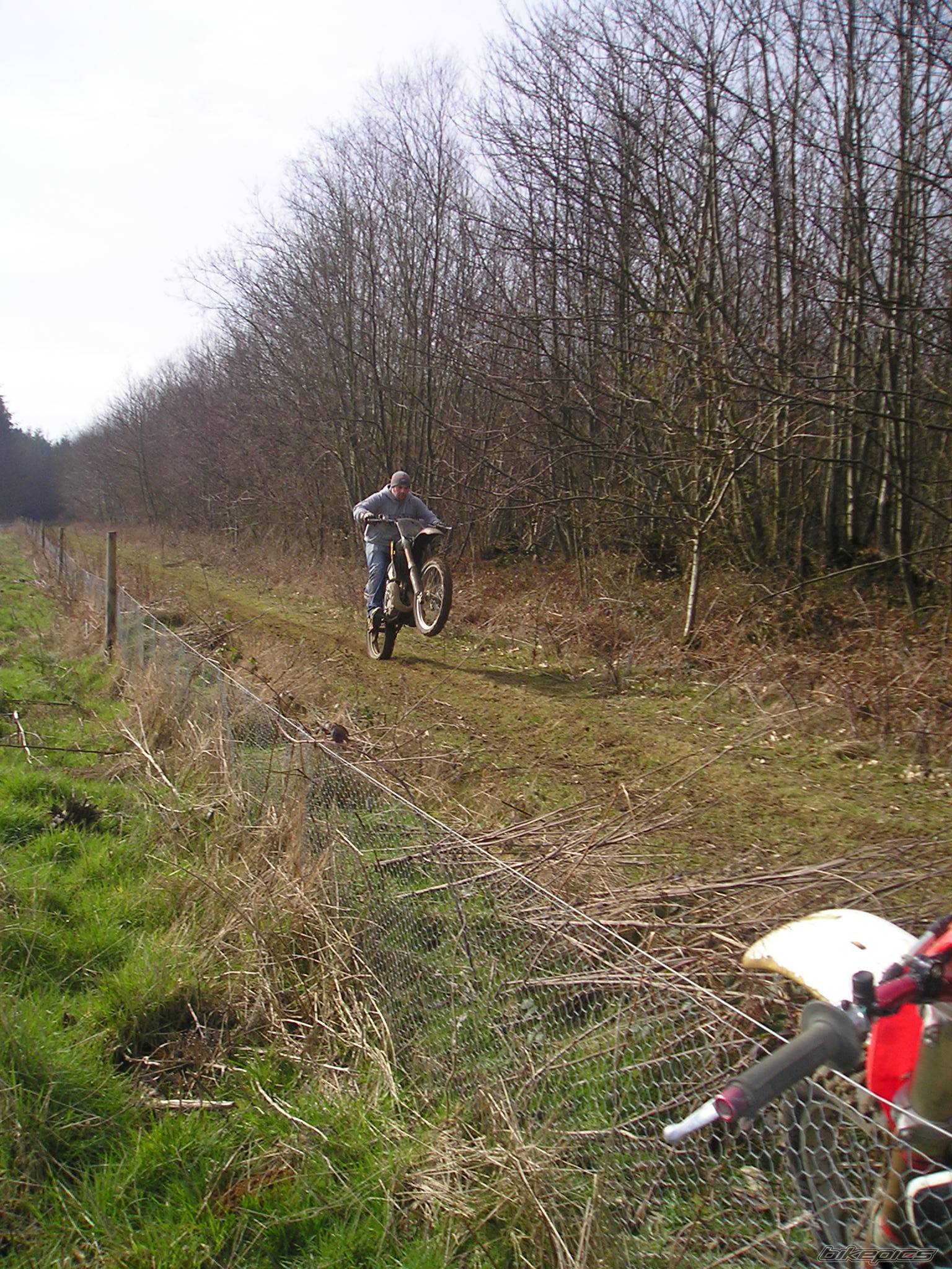 Photo 220082