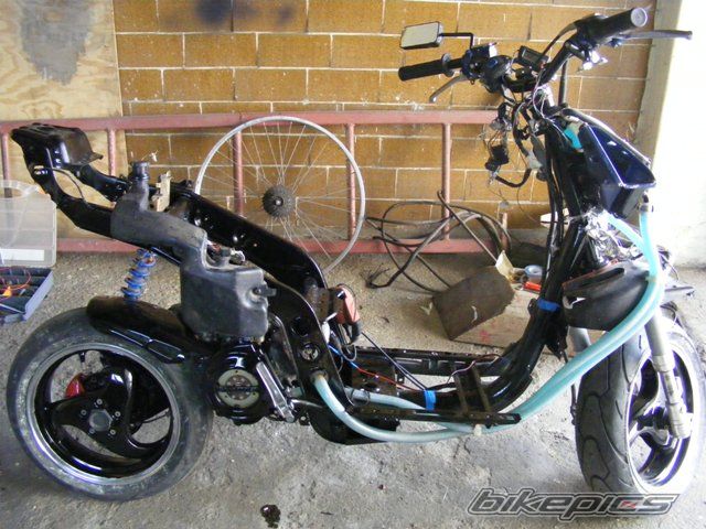 Photo 2200901