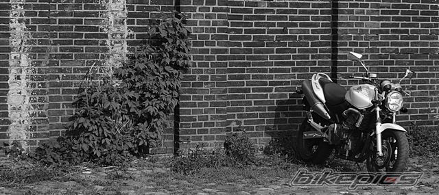 Photo 2201007