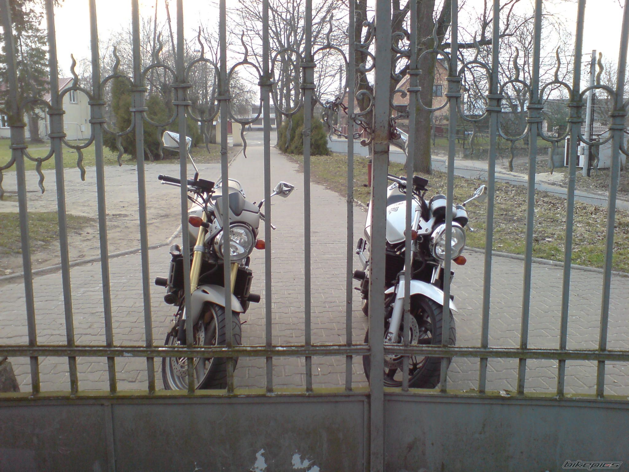 Photo 2201067