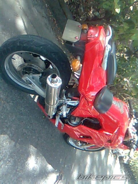 Photo 2201093