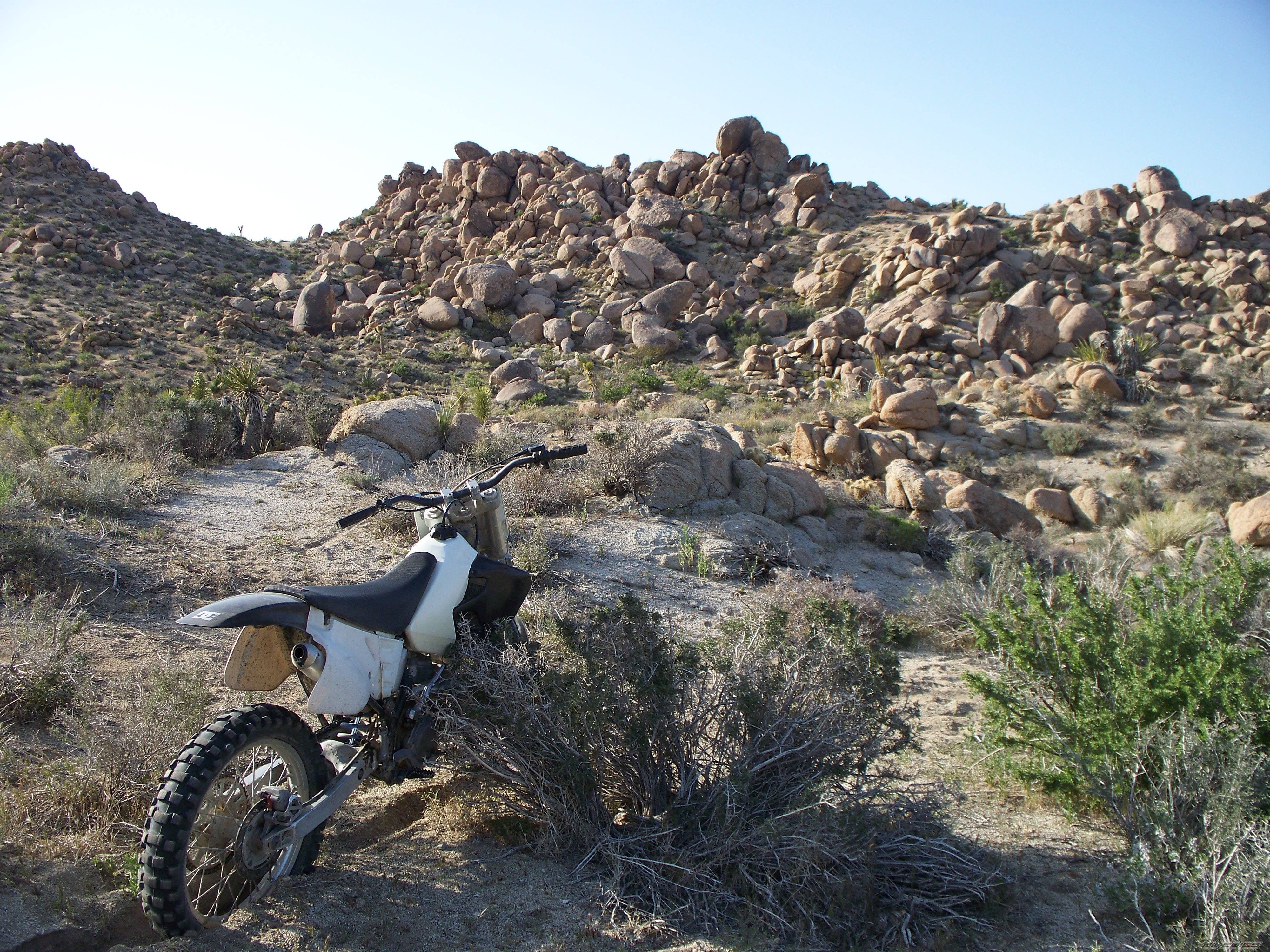 Photo 2201117