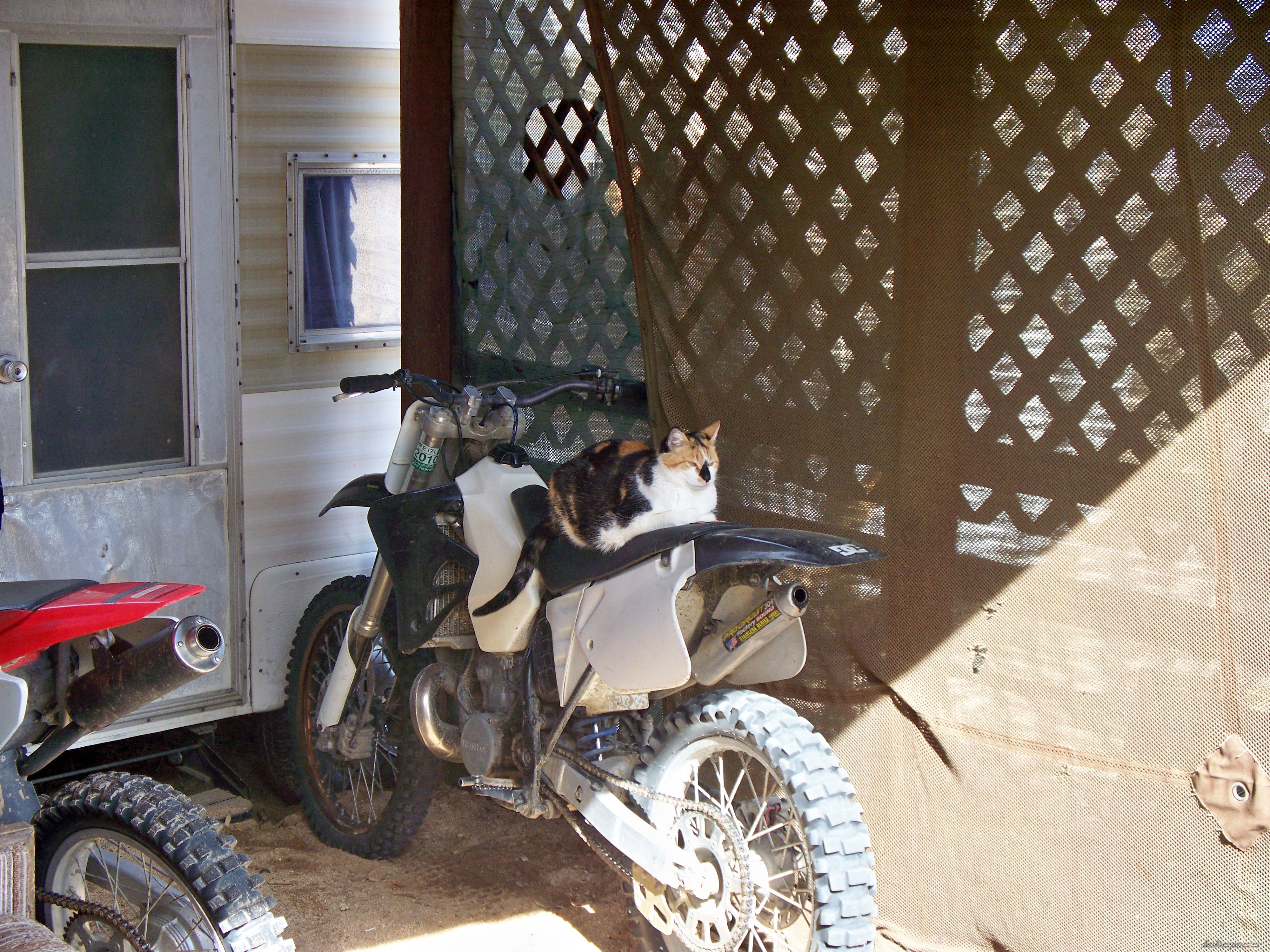 Photo 2201118