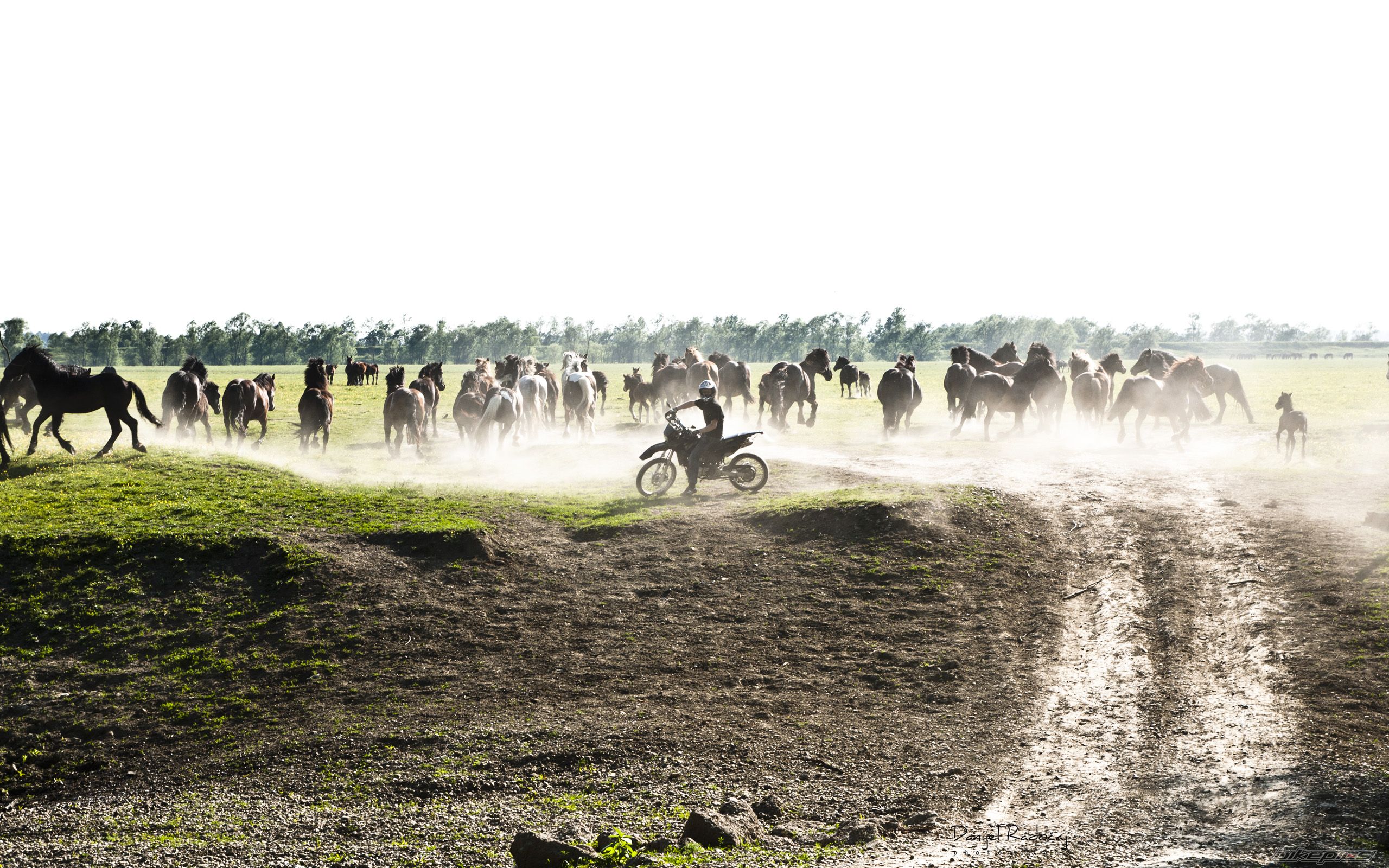 Bike Photo 2202243