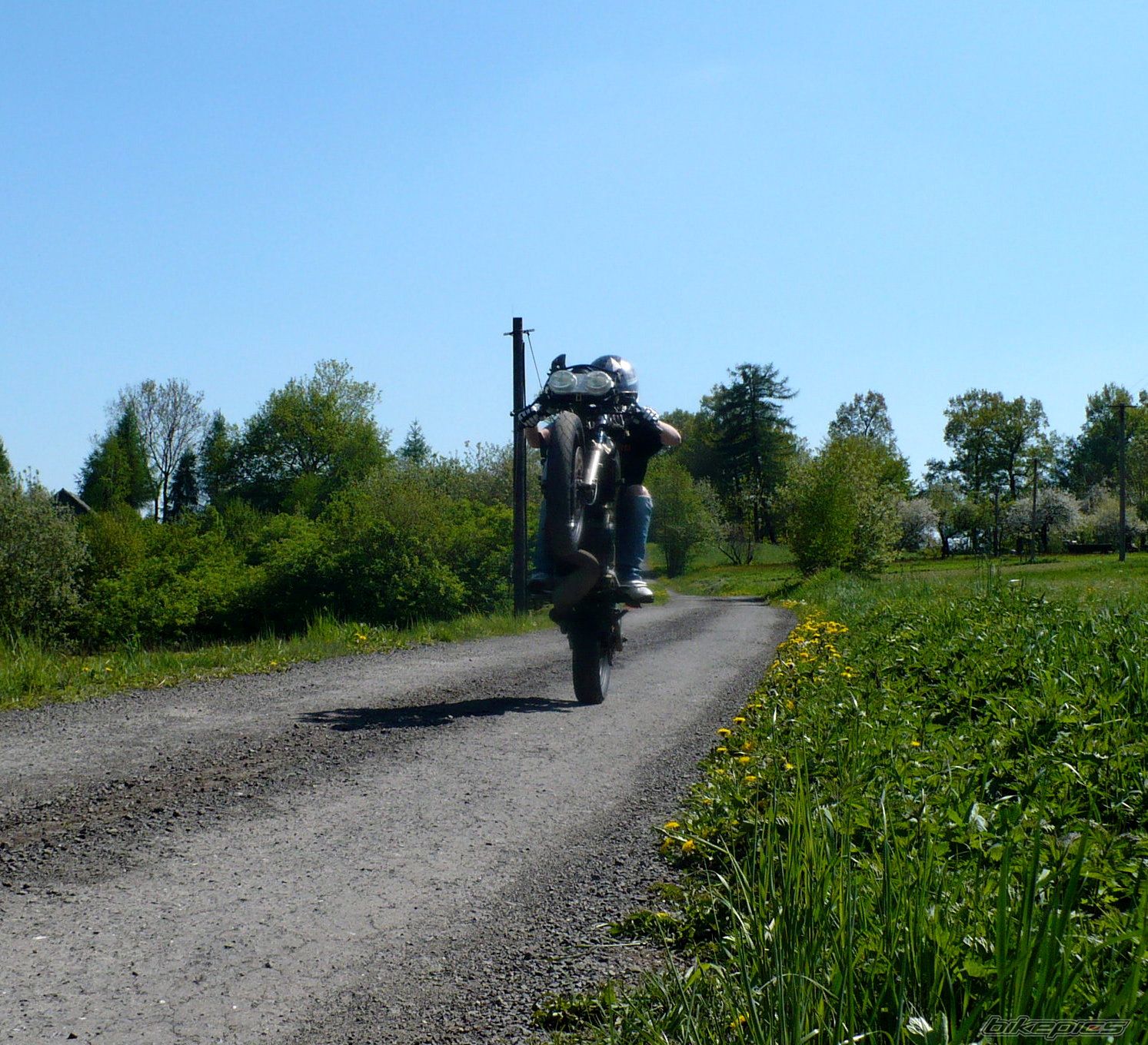 Photo 2202311