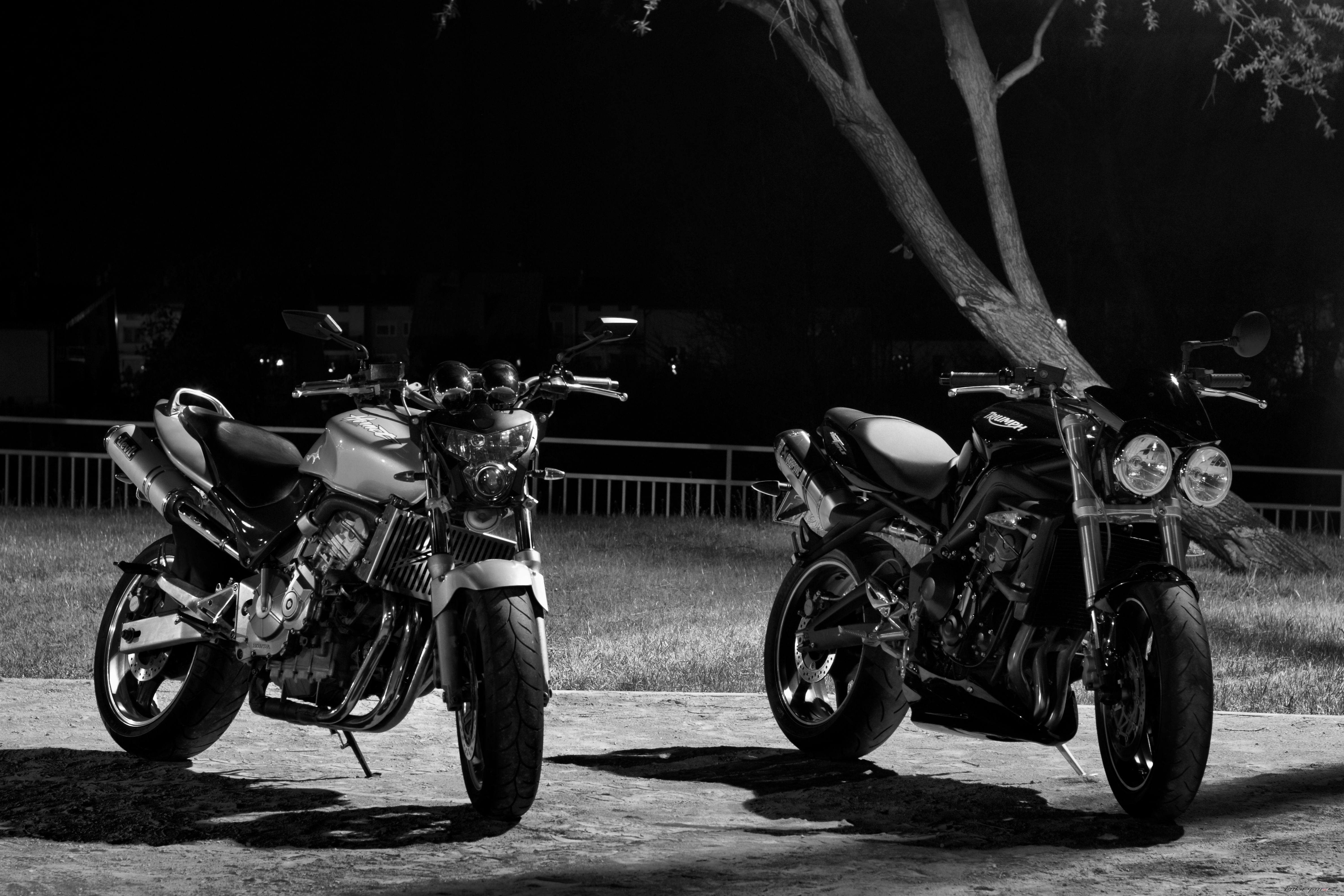 Bike Photo 2202360