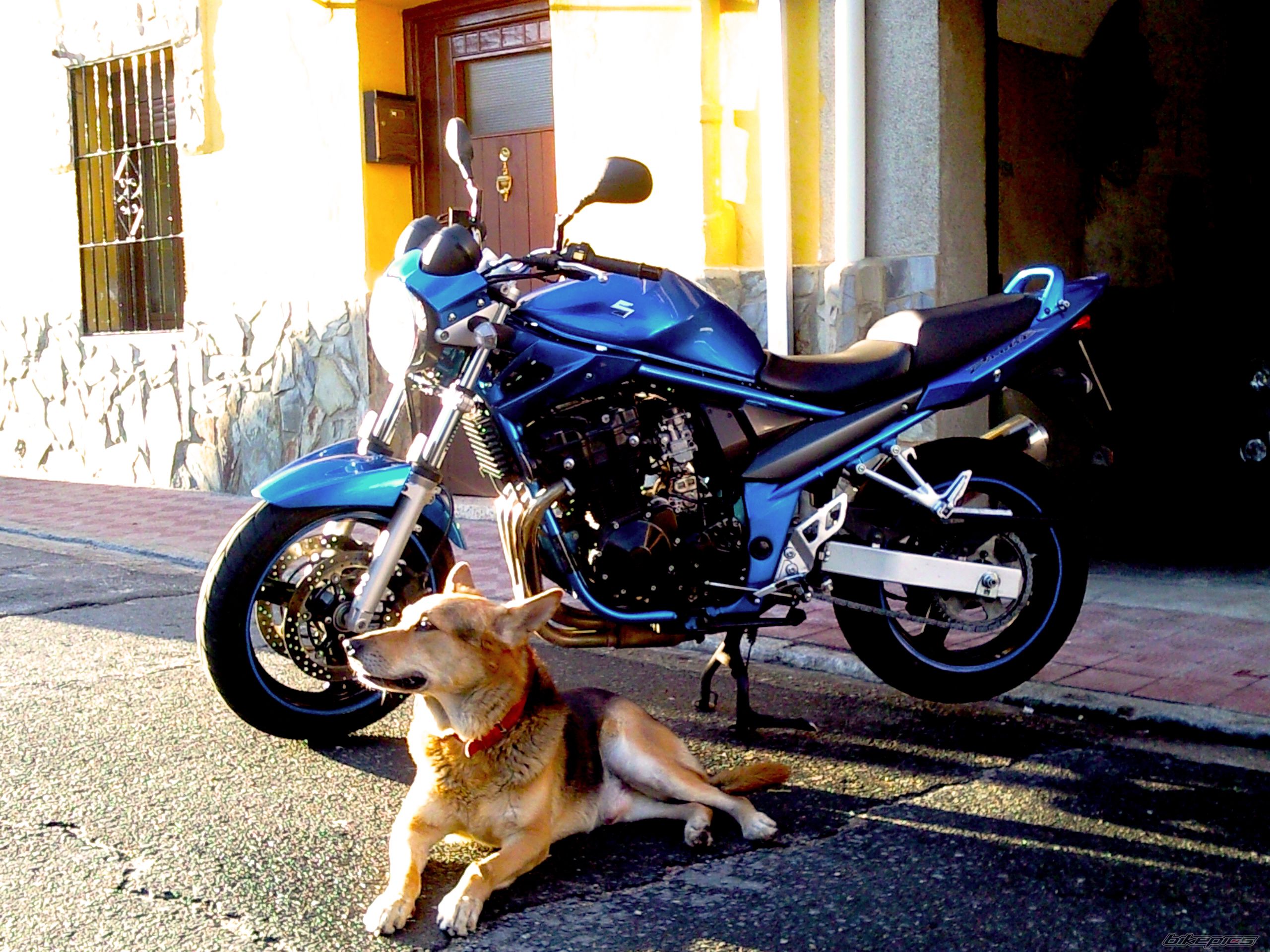Photo 2202373