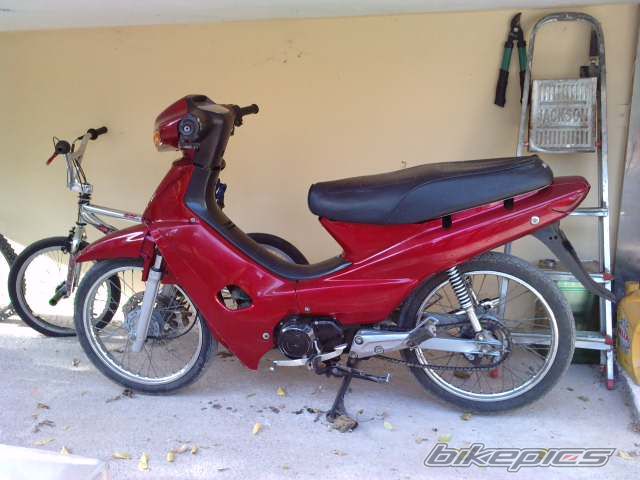 Photo 2202532