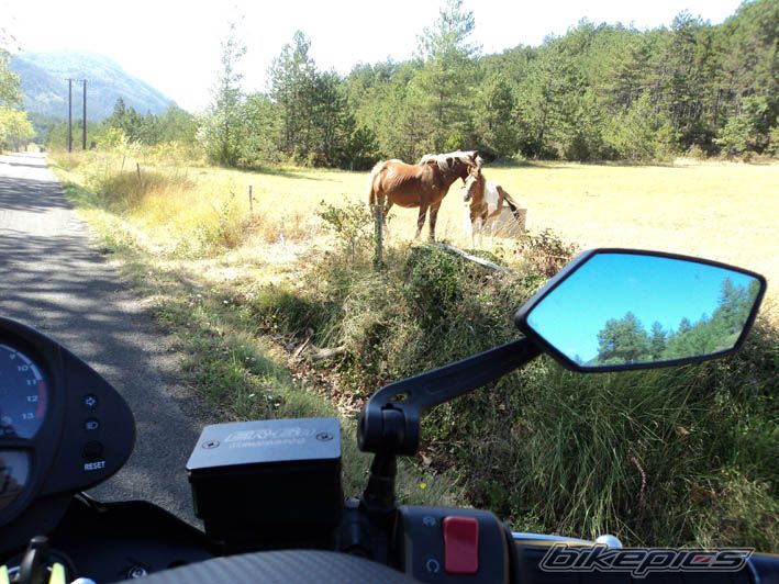 Photo 2202568