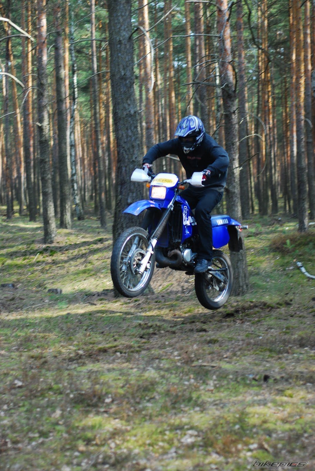 Photo 2202580