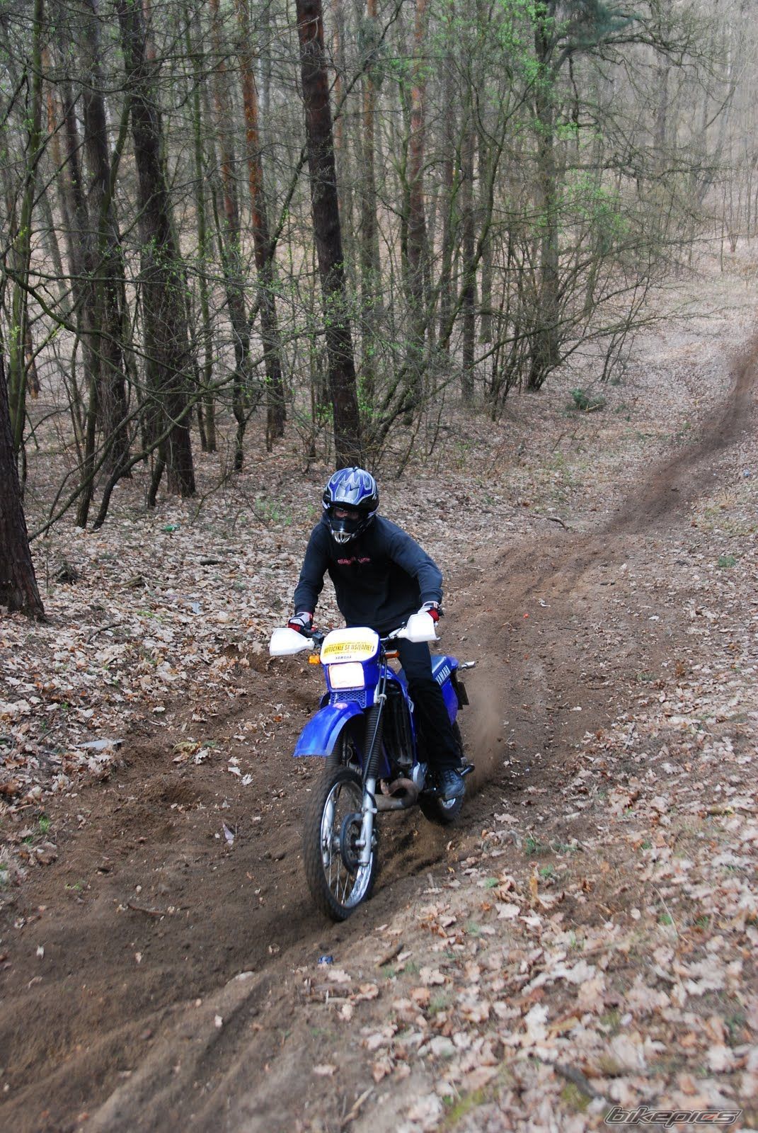 Photo 2202583