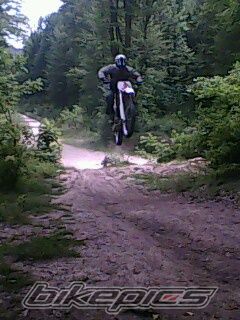 Bike Photo 2202618