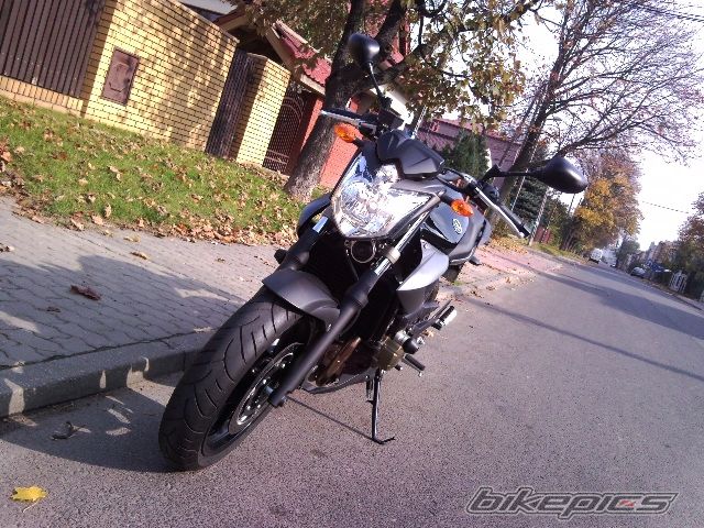 Photo 2202866