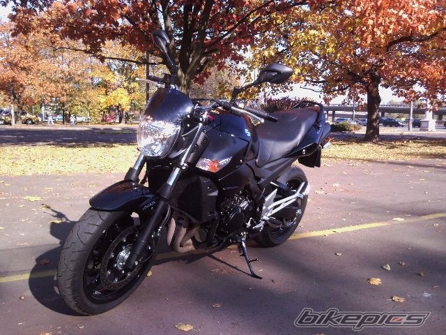 Photo 2202873