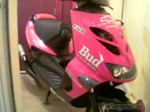 Photo 220297