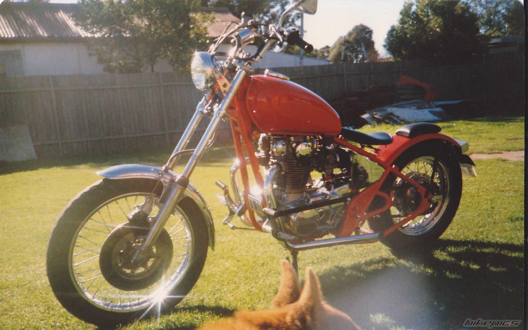 Photo 2203271