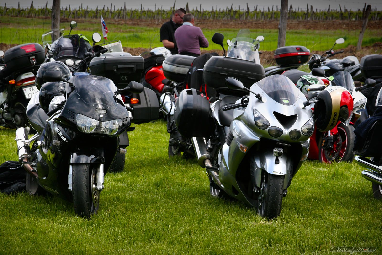 Photo 2203290