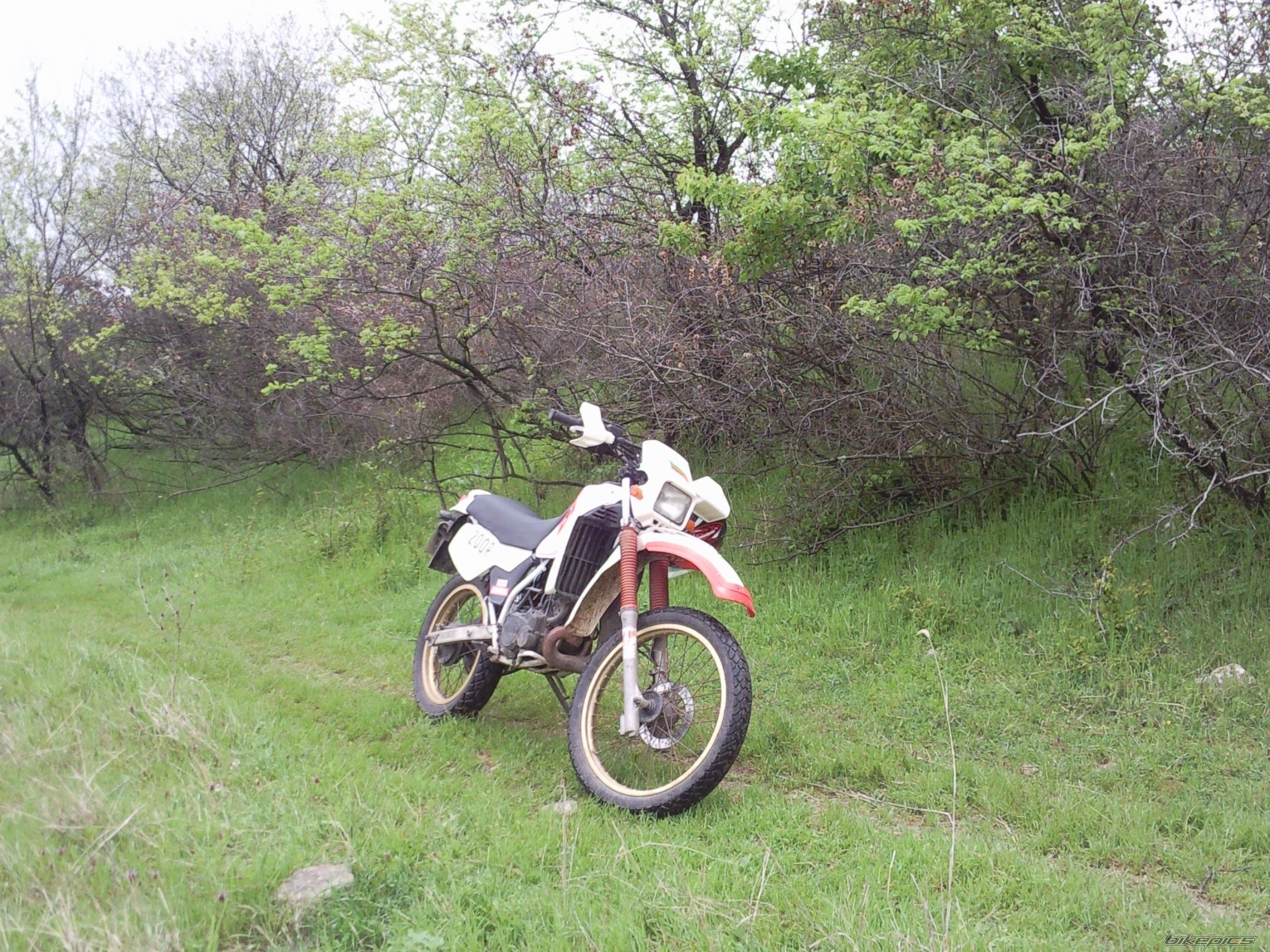 Photo 2203478
