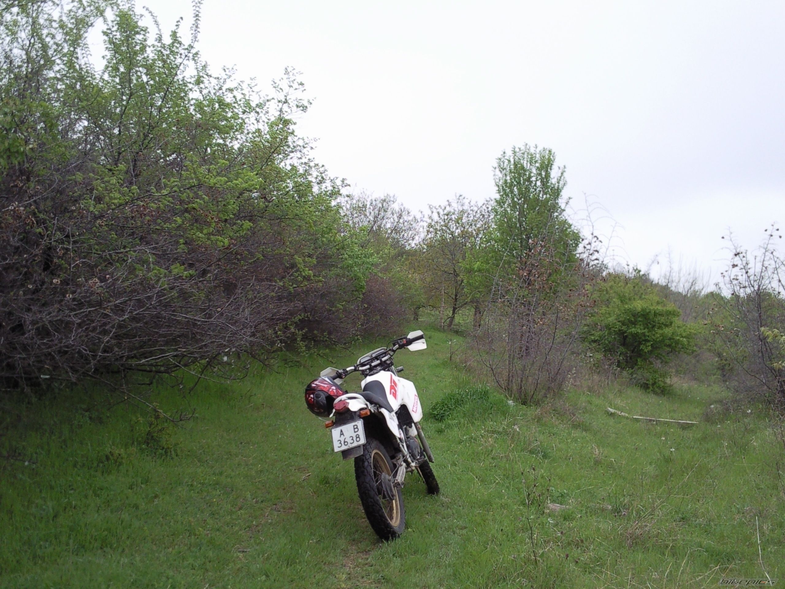 Photo 2203479