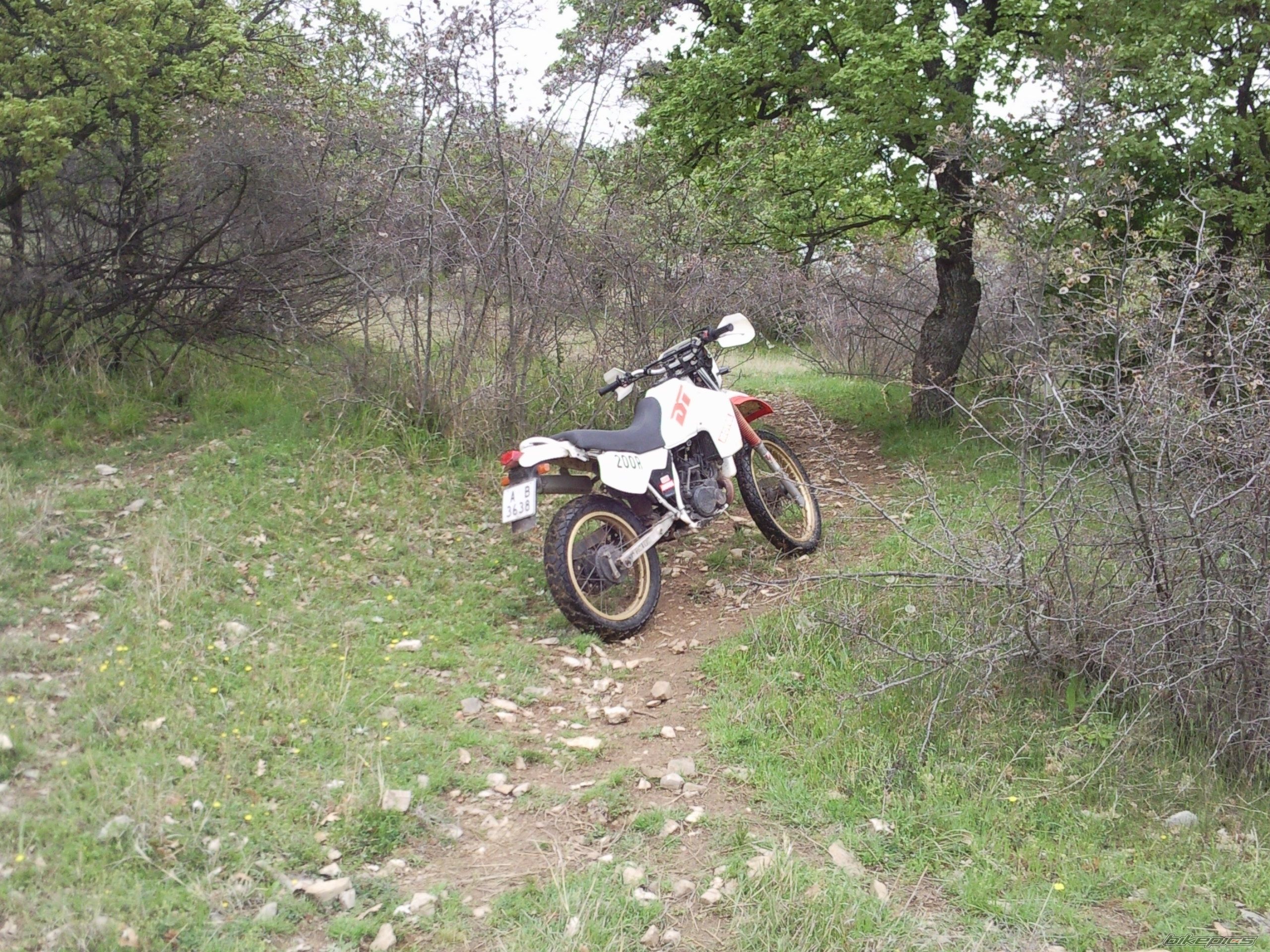 Photo 2203480