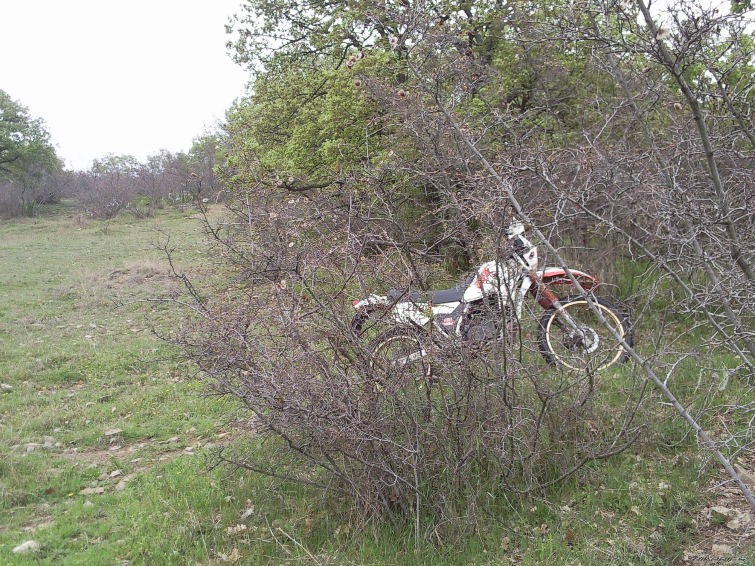 Photo 2203483