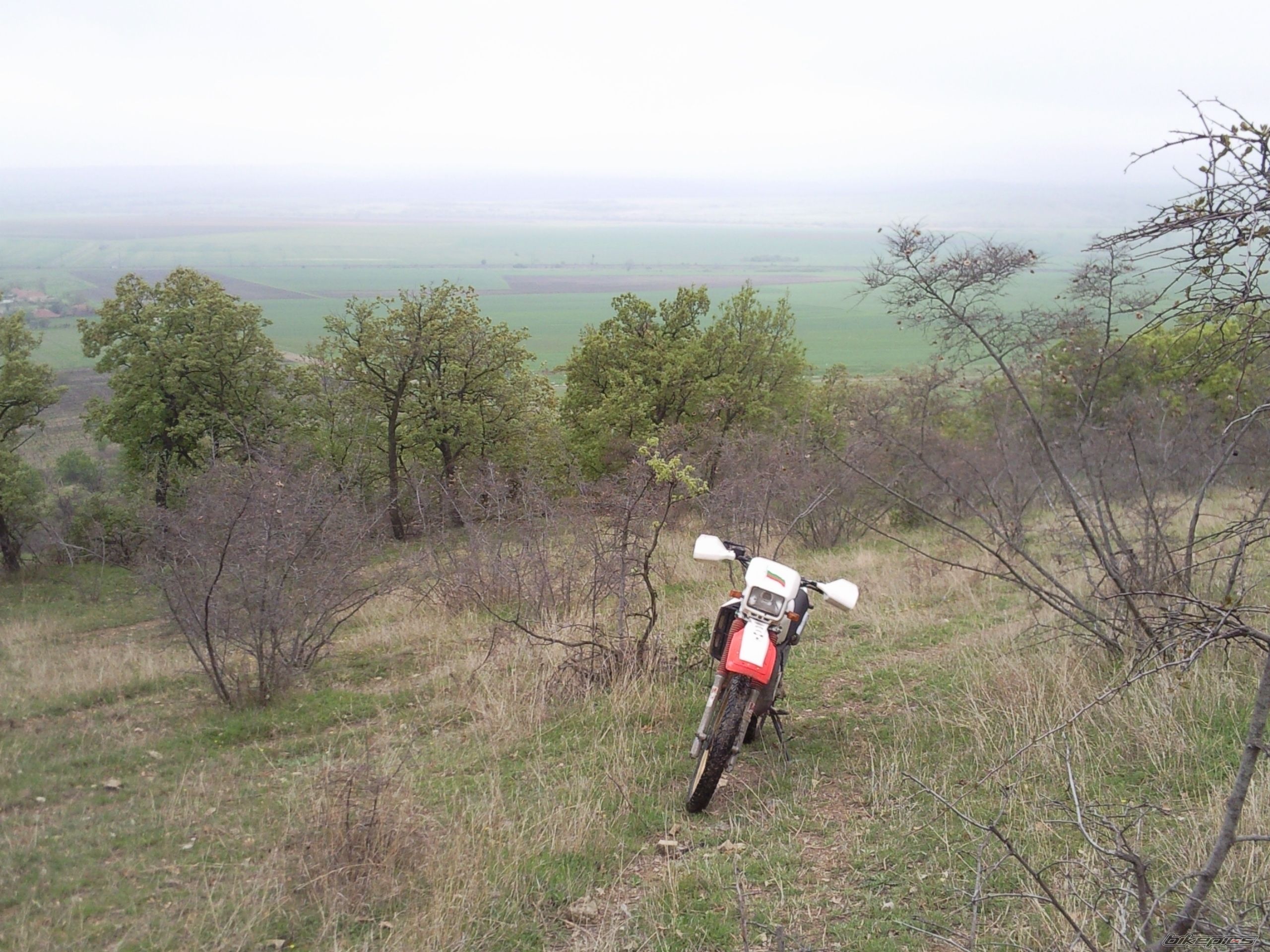 Photo 2203484