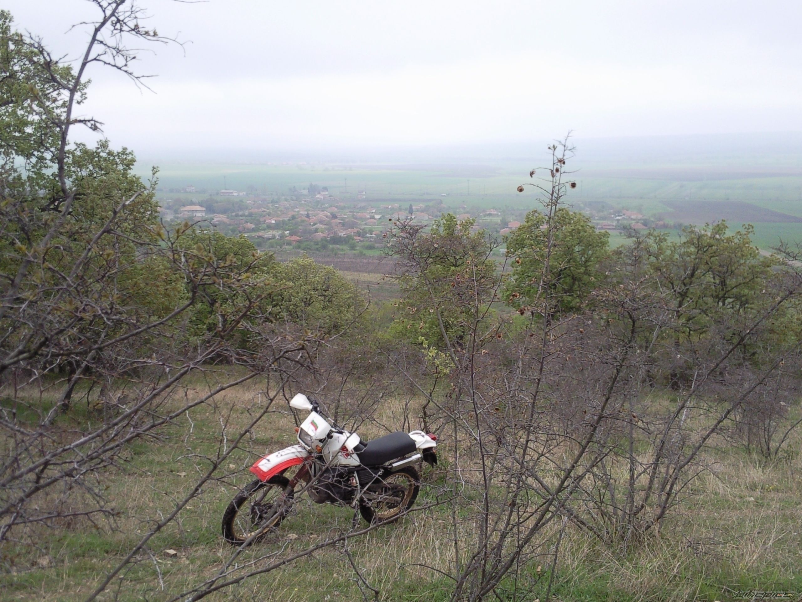 Photo 2203486