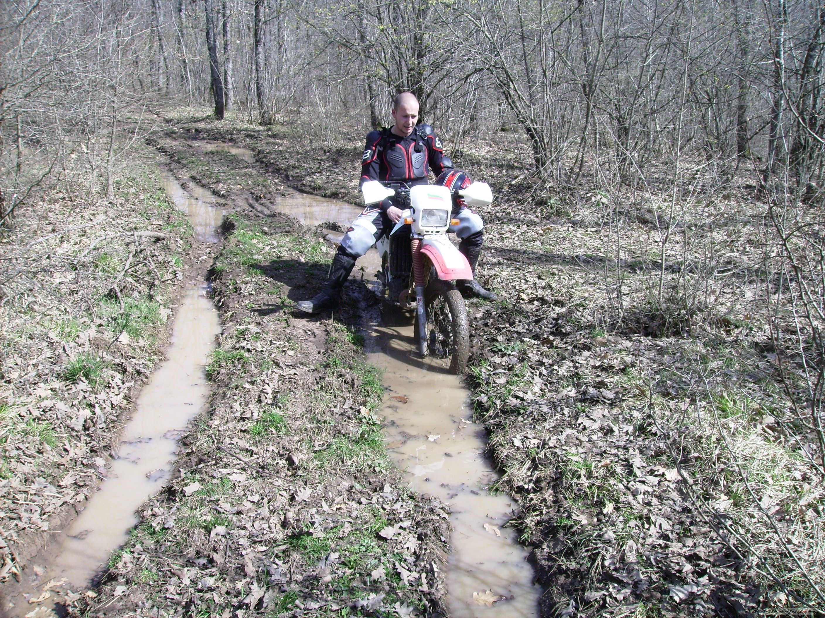 Photo 2203502