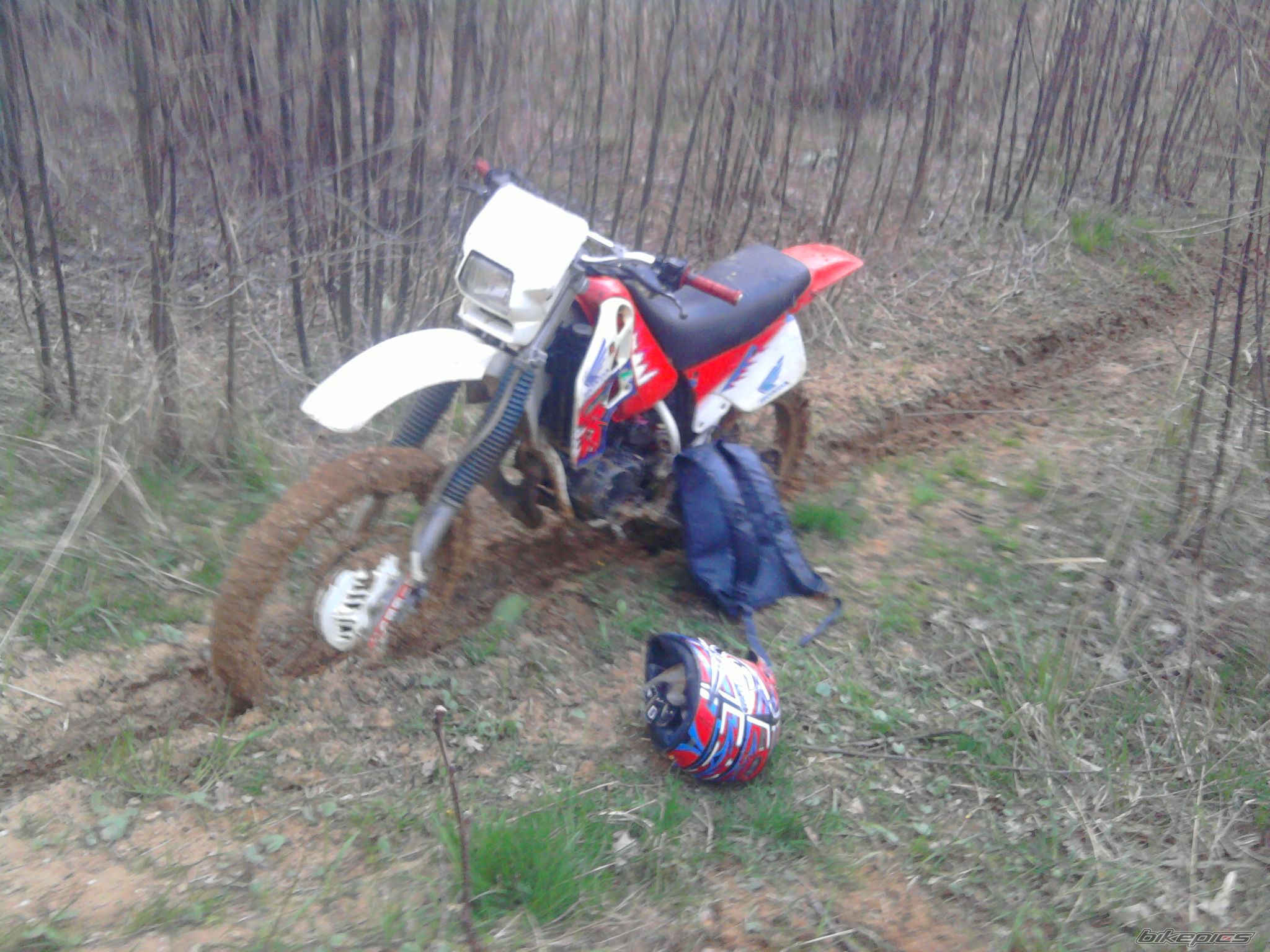 Photo 2203532