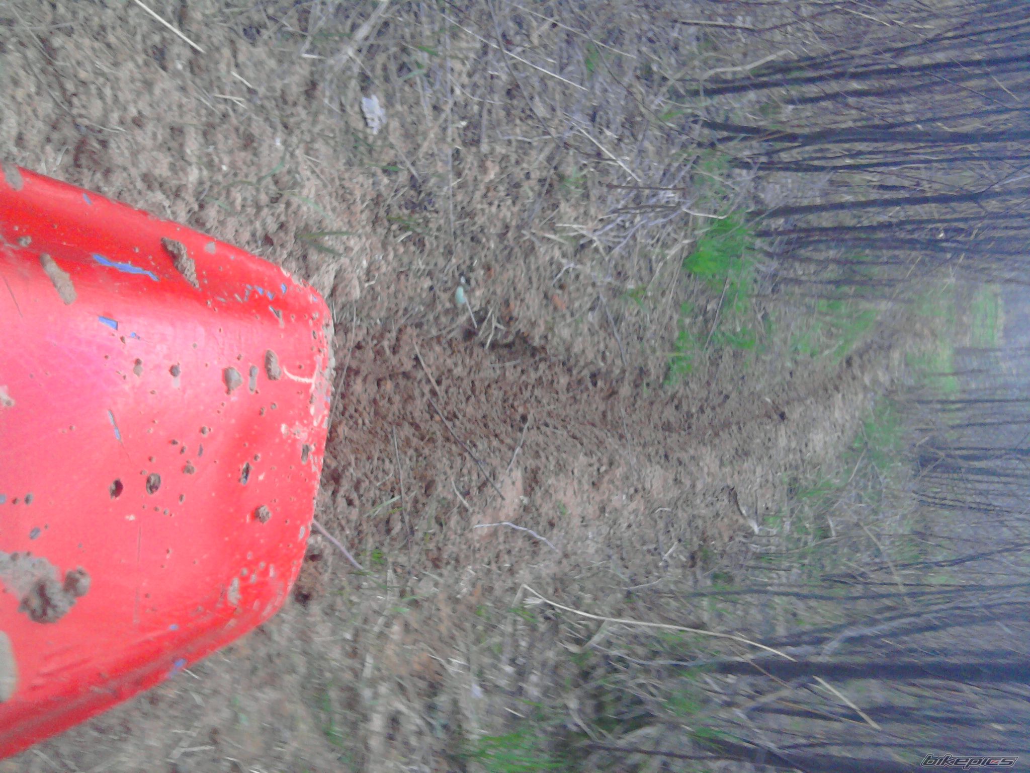 Photo 2203534