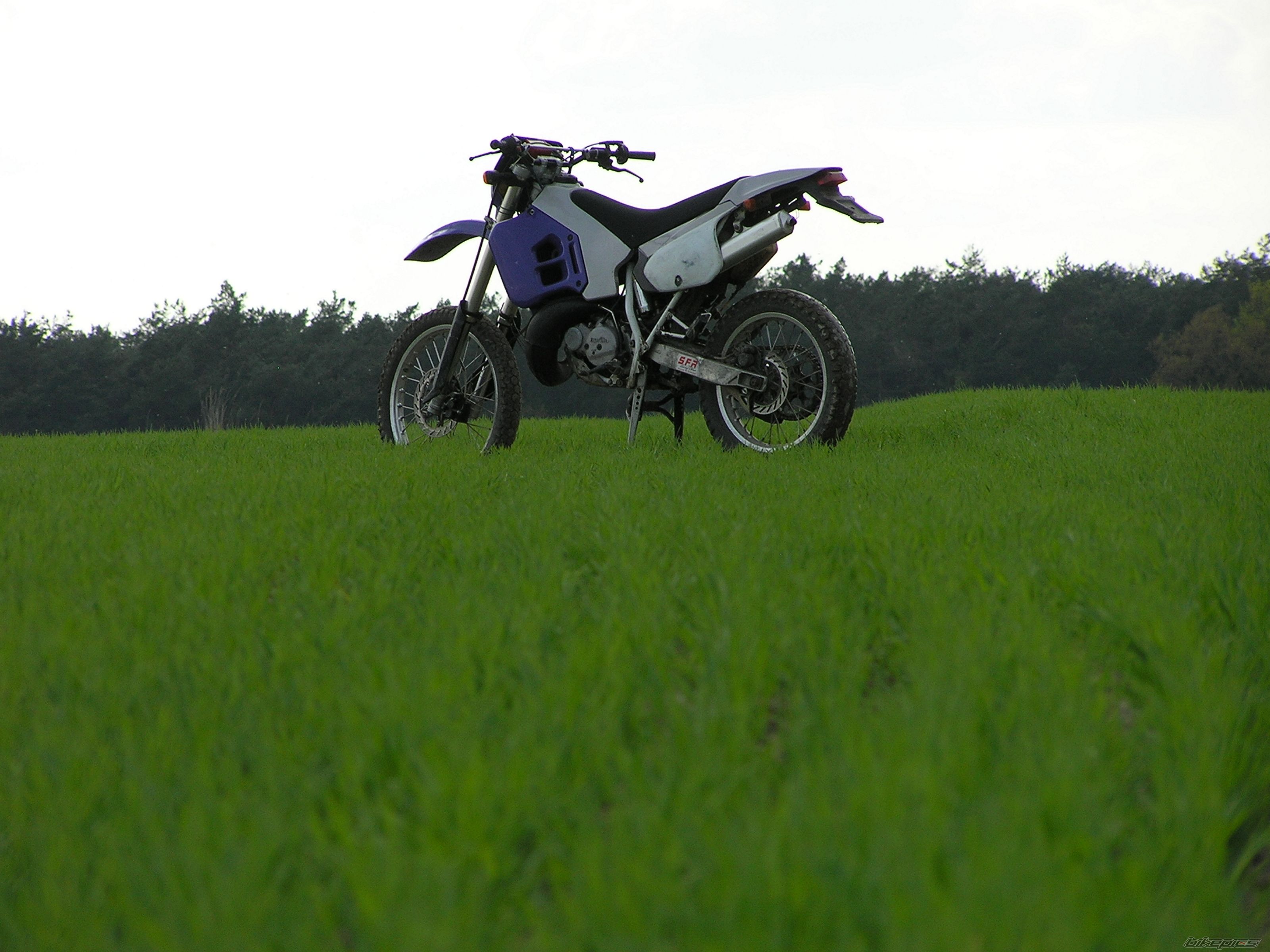 Bike Photo 2203539