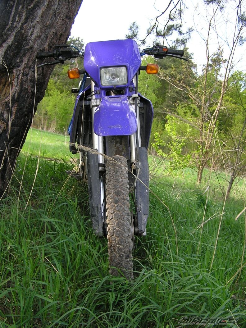 Bike Photo 2203544