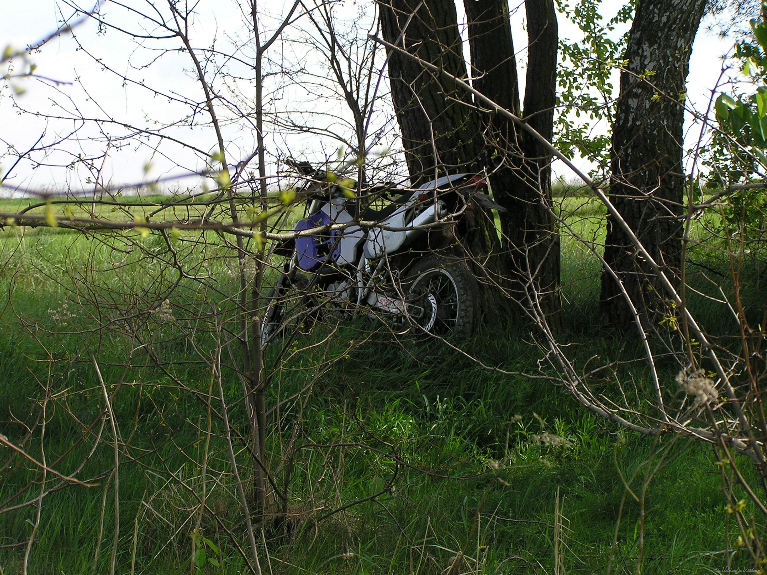 Bike Photo 2203545