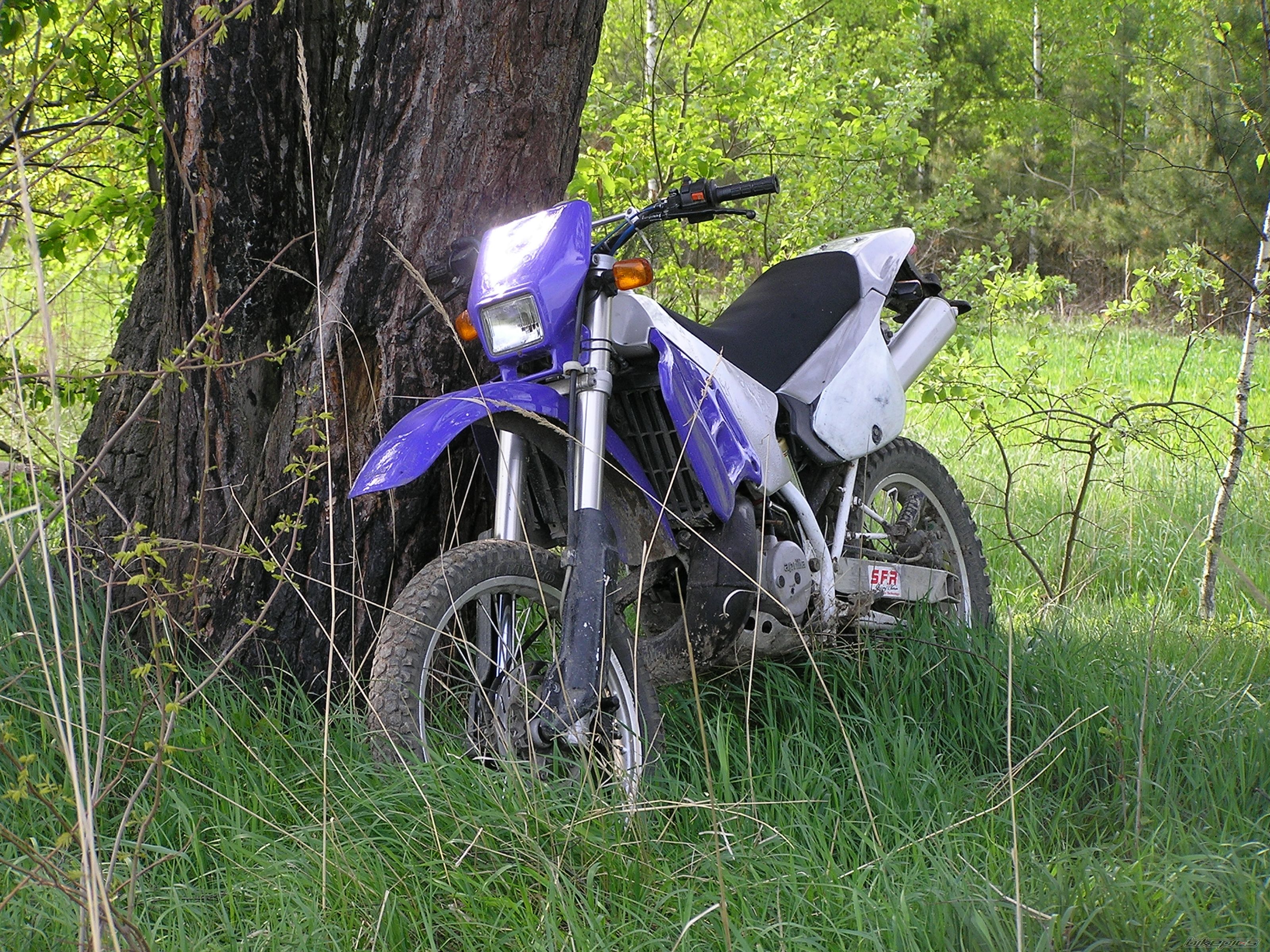 Bike Photo 2203556
