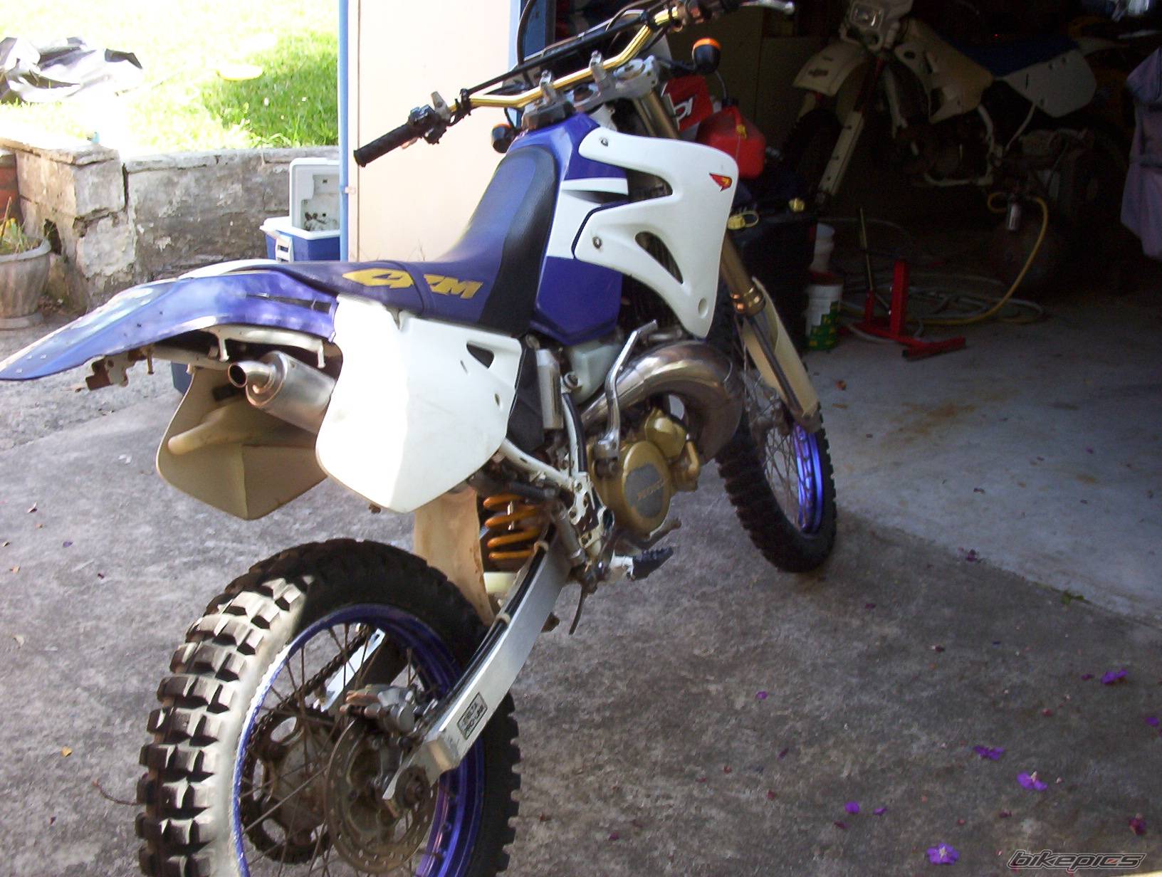 Photo 220360