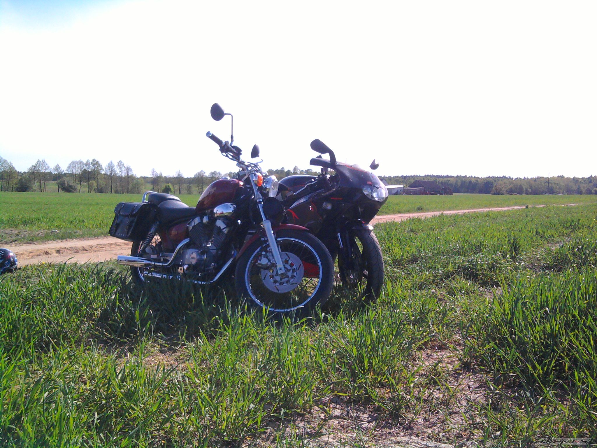 Photo 2203635