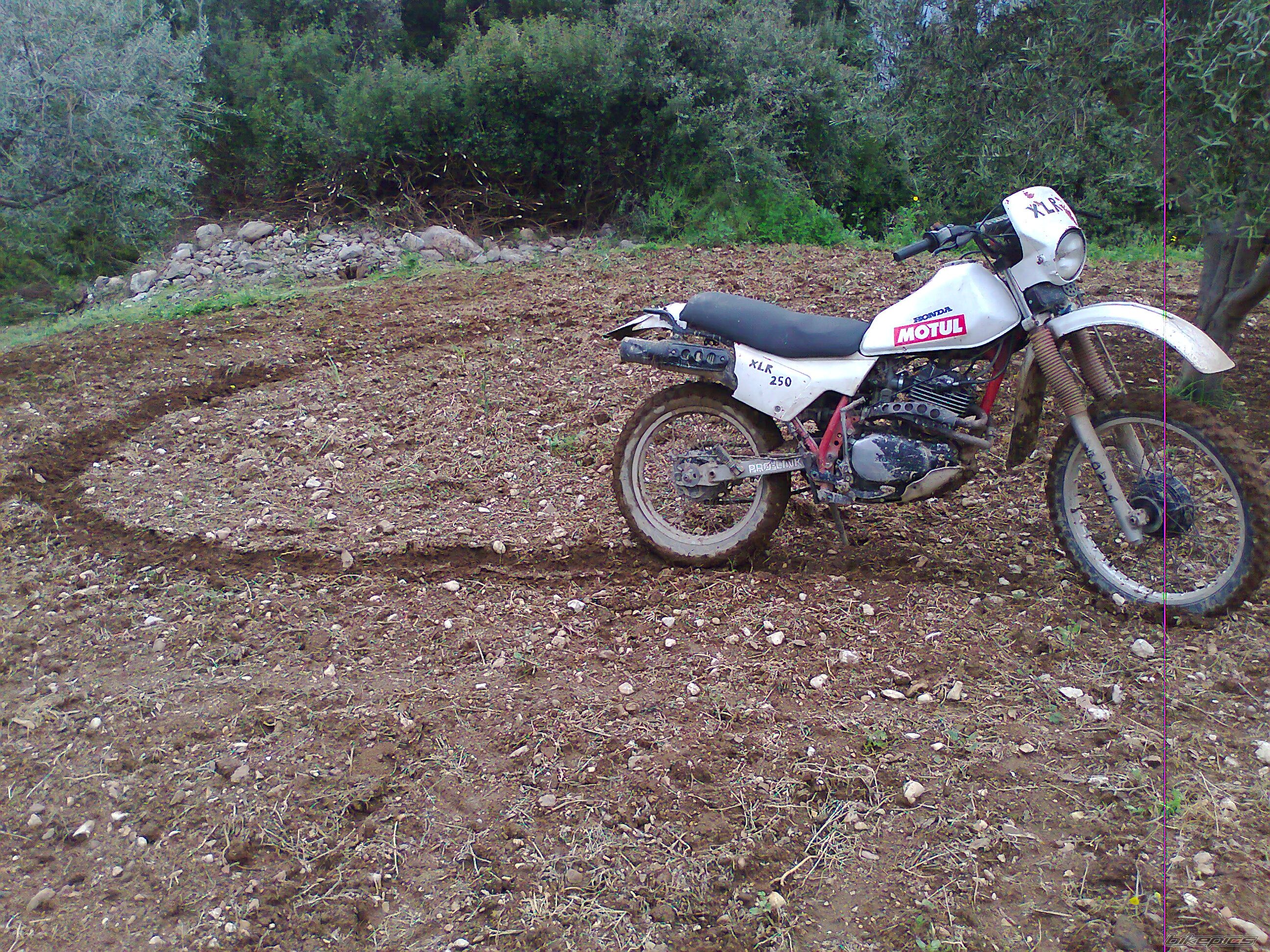 Photo 2203653