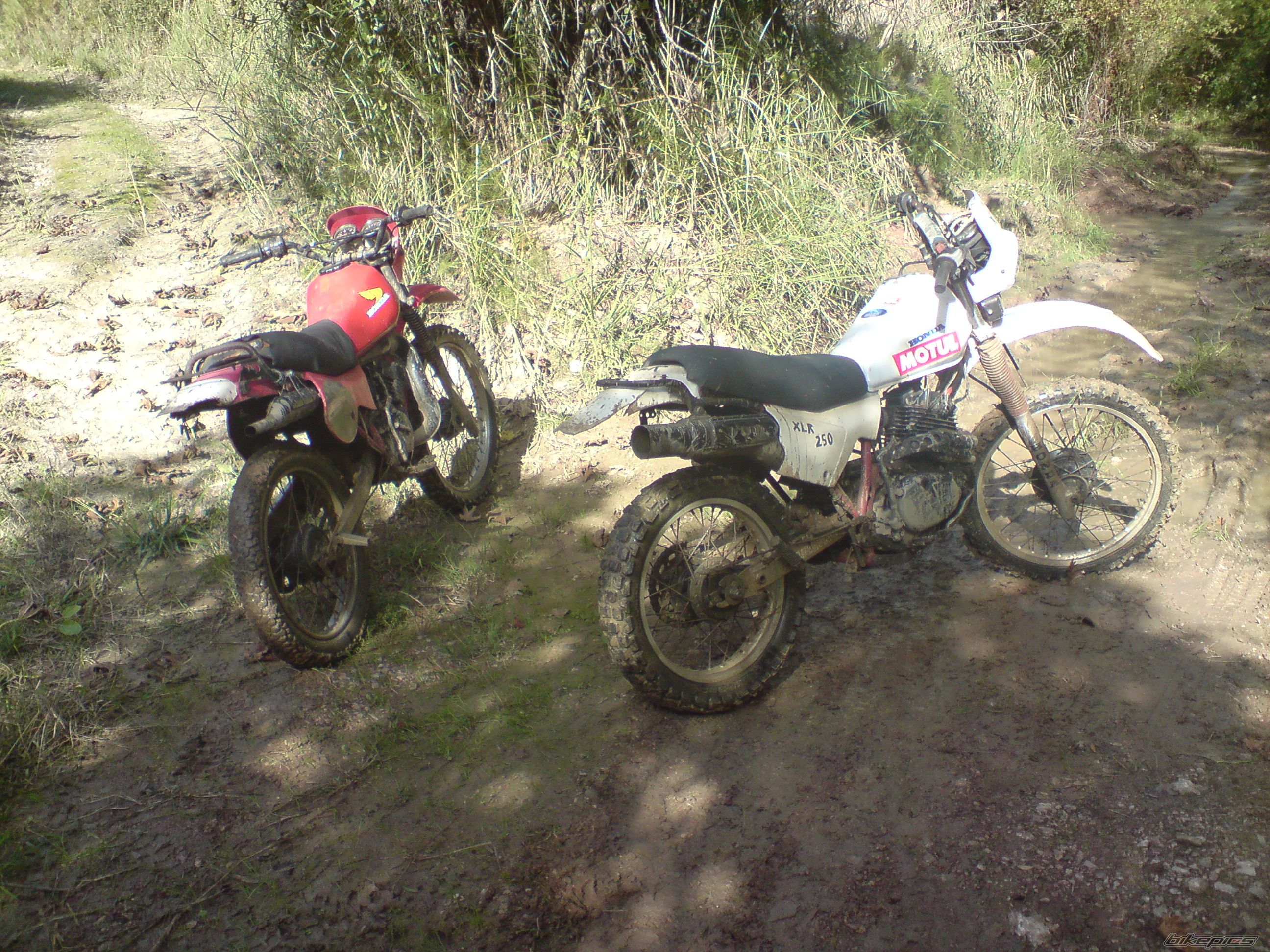 Photo 2203657