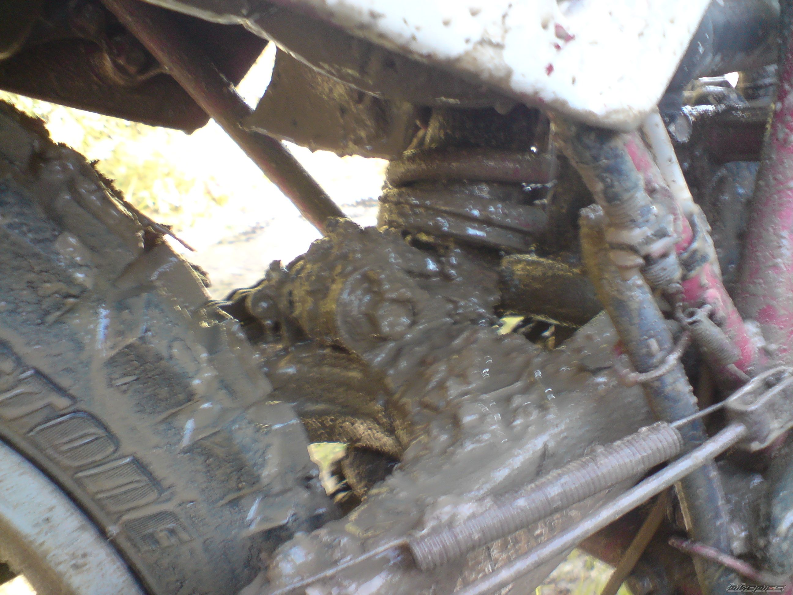 Photo 2203658