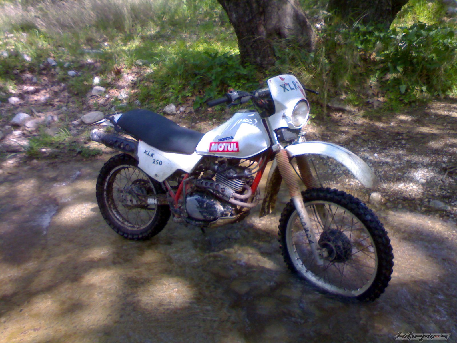 Photo 2203661