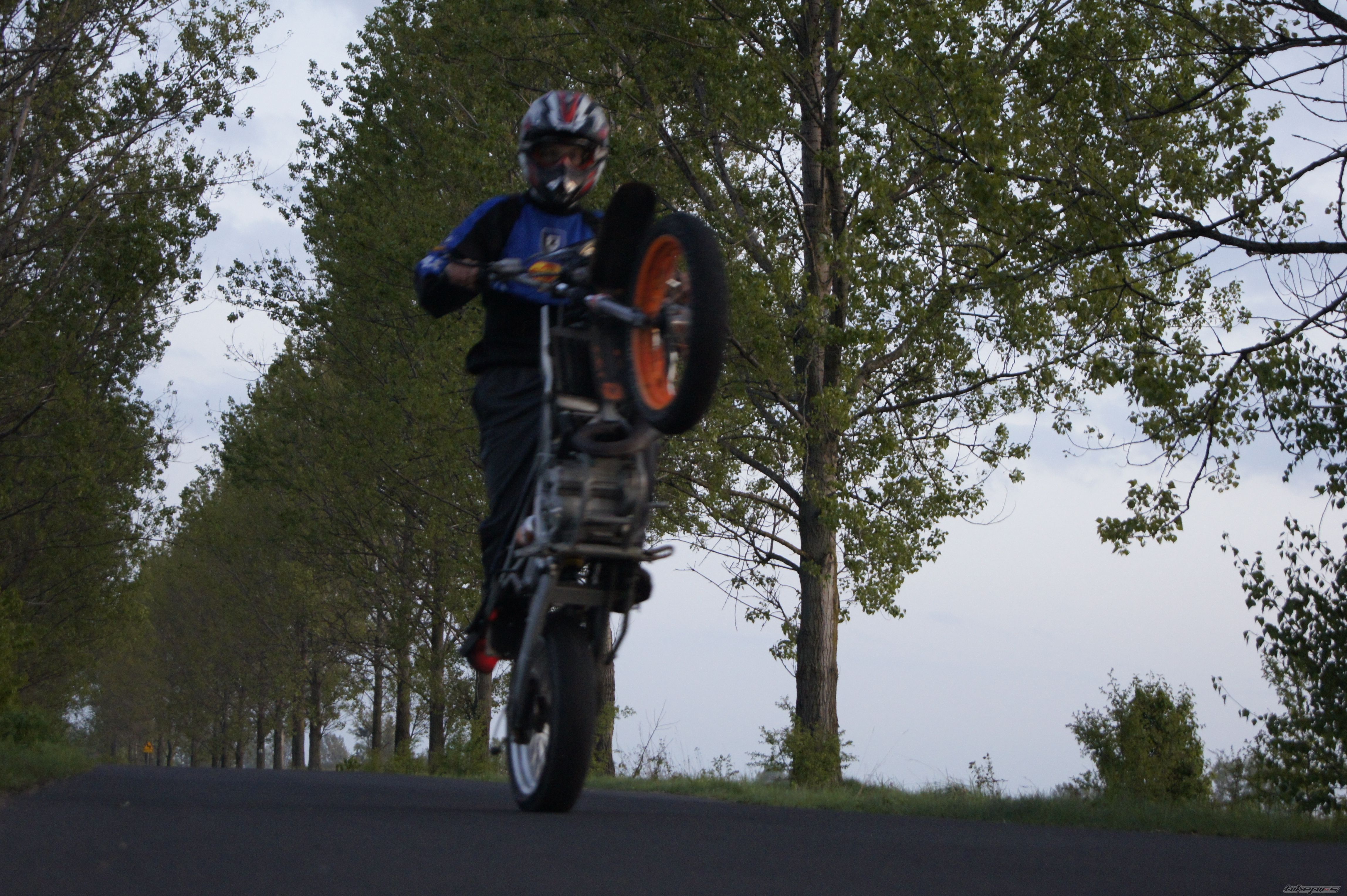 Photo 2203732