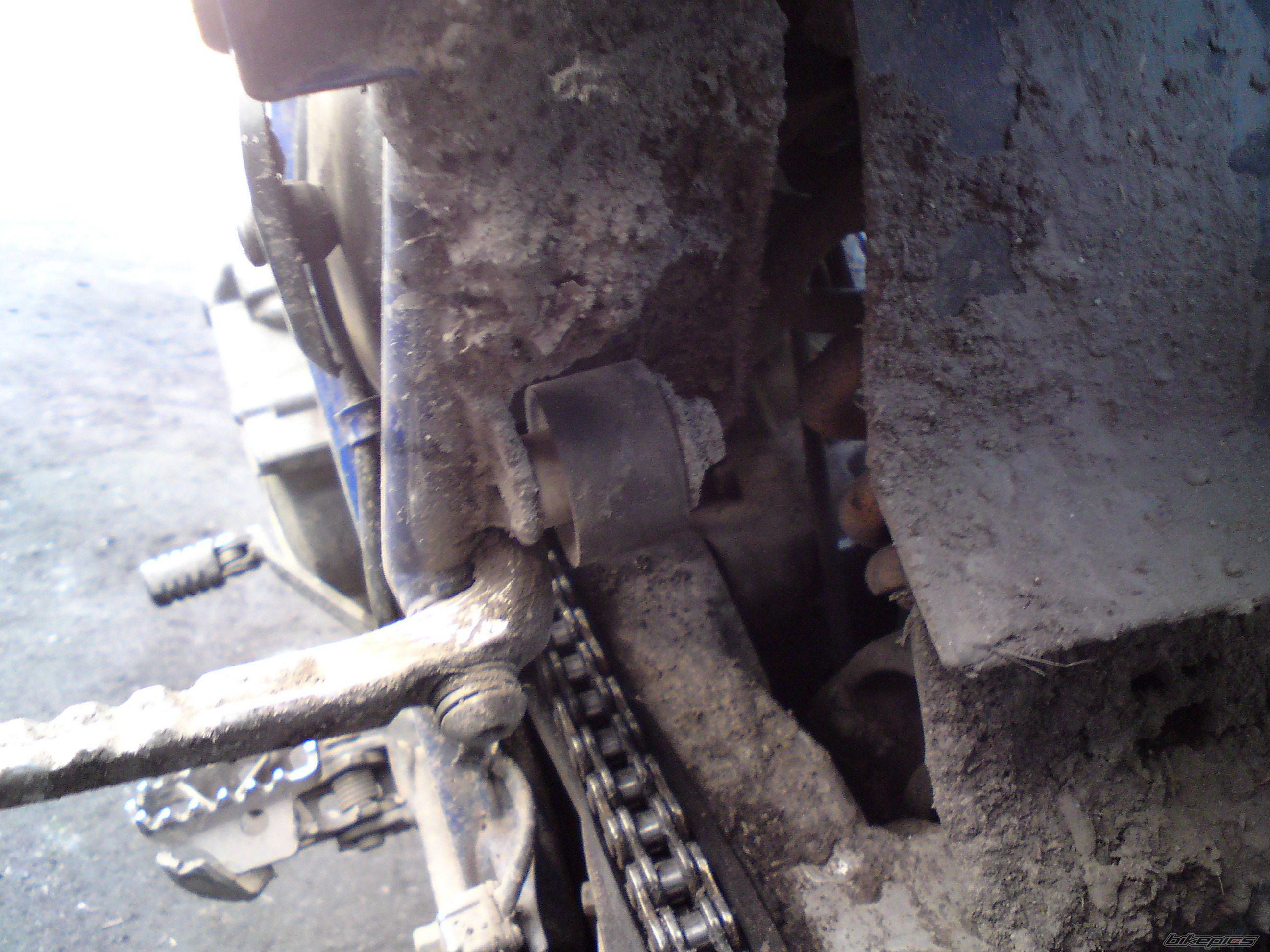 Photo 2203739