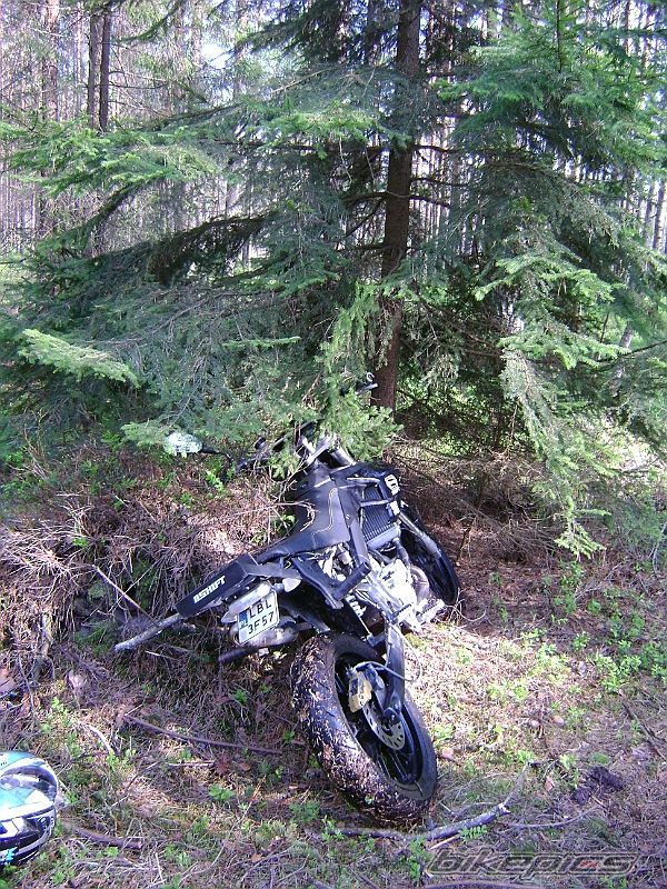 Photo 2203759