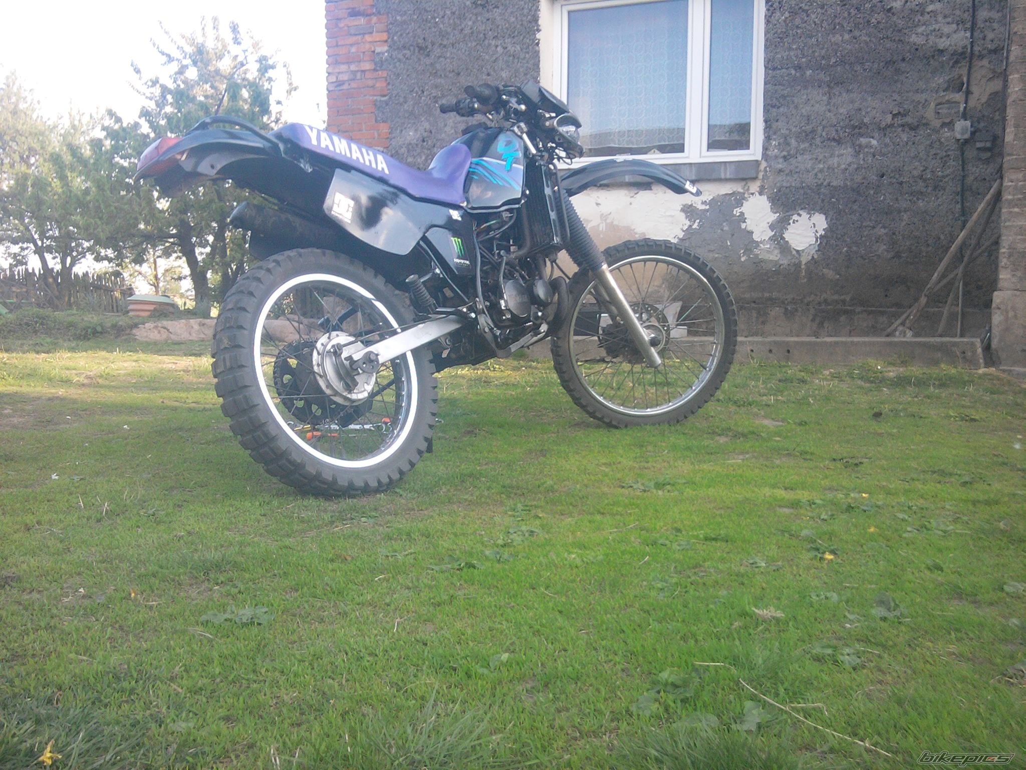Photo 2203778