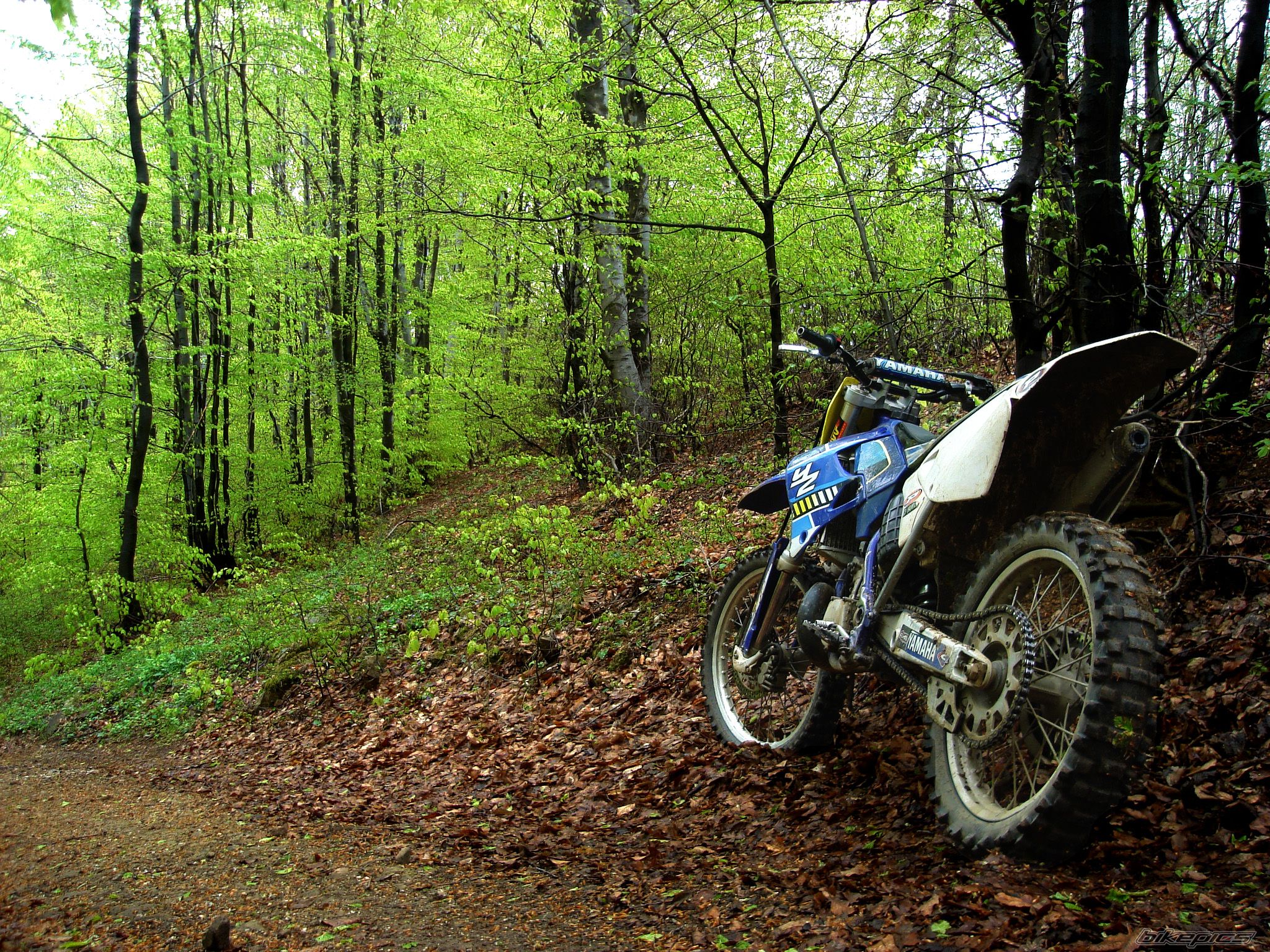 Bike Photo 2203798