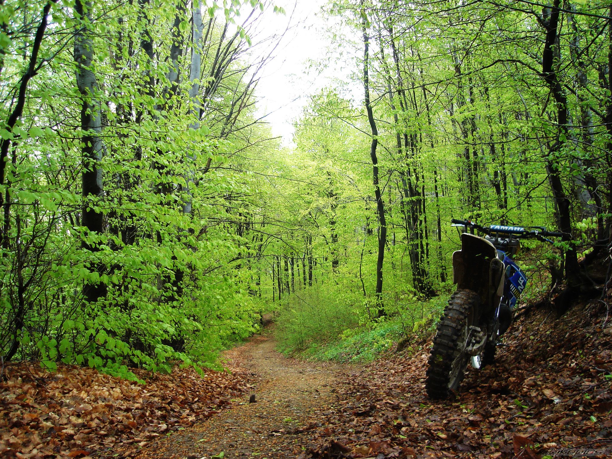 Bike Photo 2203802