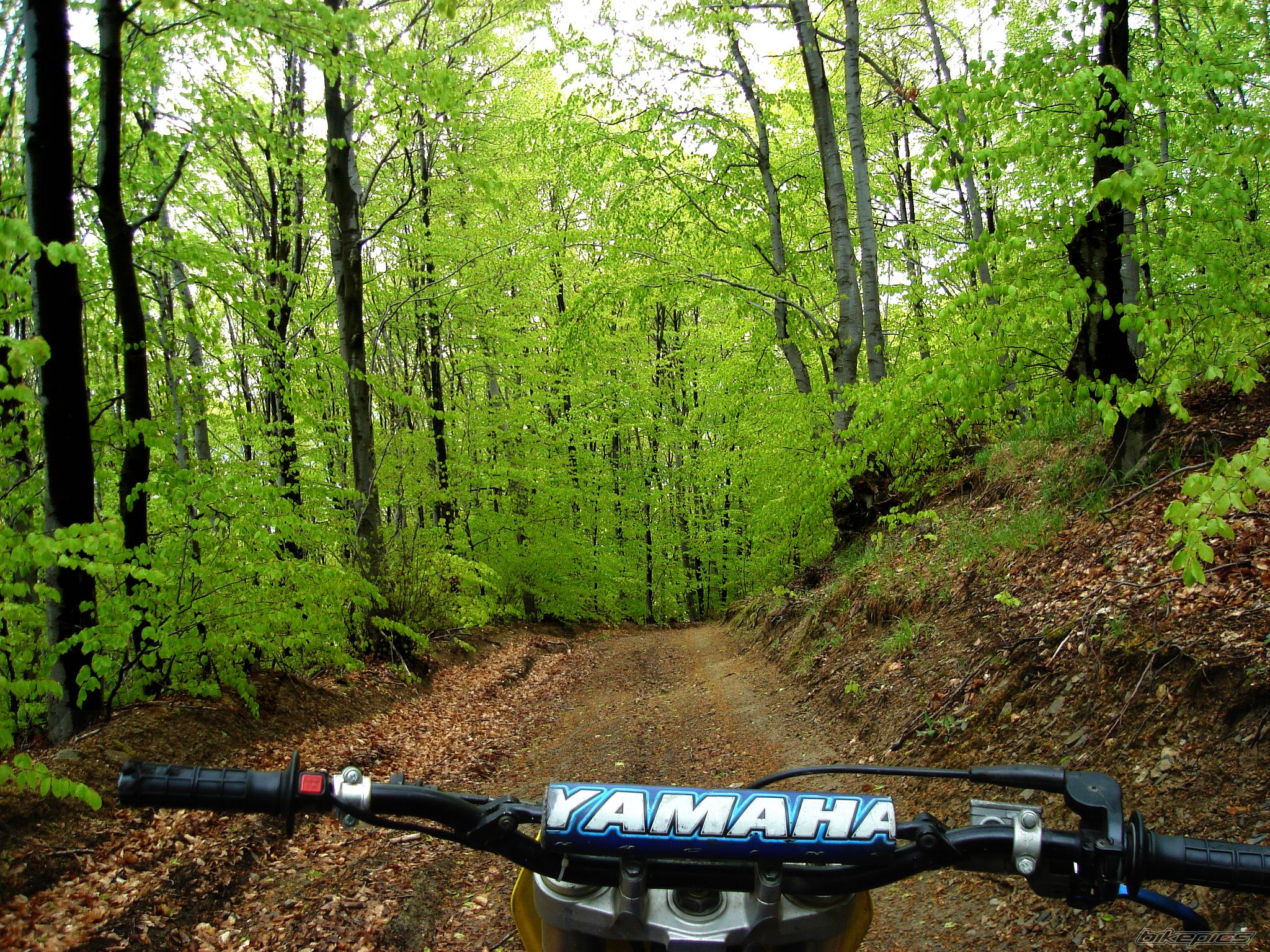 Bike Photo 2203803